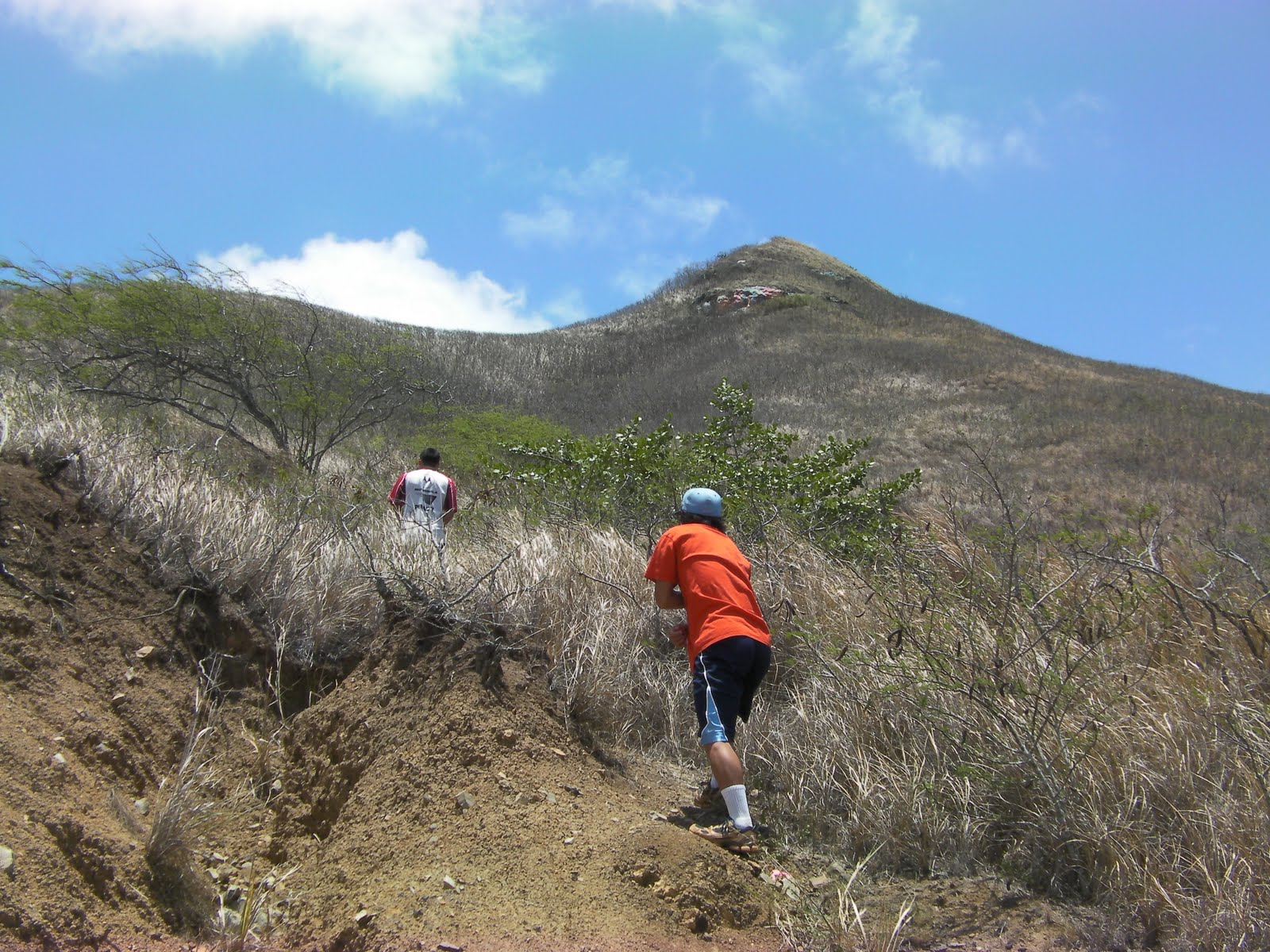 Blue, Green, and Everything in Between Hiking the Kalaheo Hillside