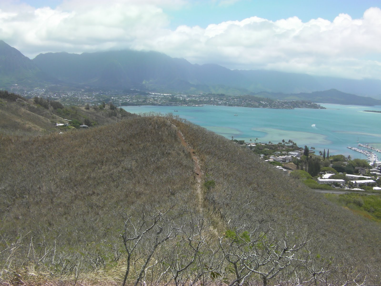 Blue, Green, and Everything in Between Hiking the Kalaheo Hillside
