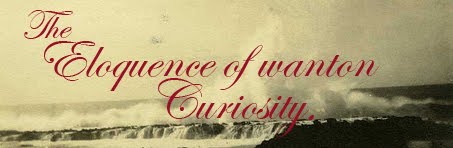 The eloquence of wanton curiosity