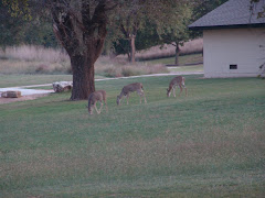 Daily visitors at Boiling Springs State Park, OK