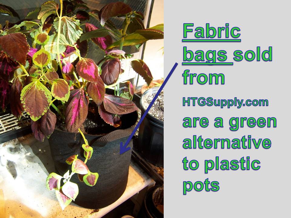 HTGSupplys Ask The Doc Containers and Potting Up