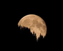 Luna che sorge da Costalta