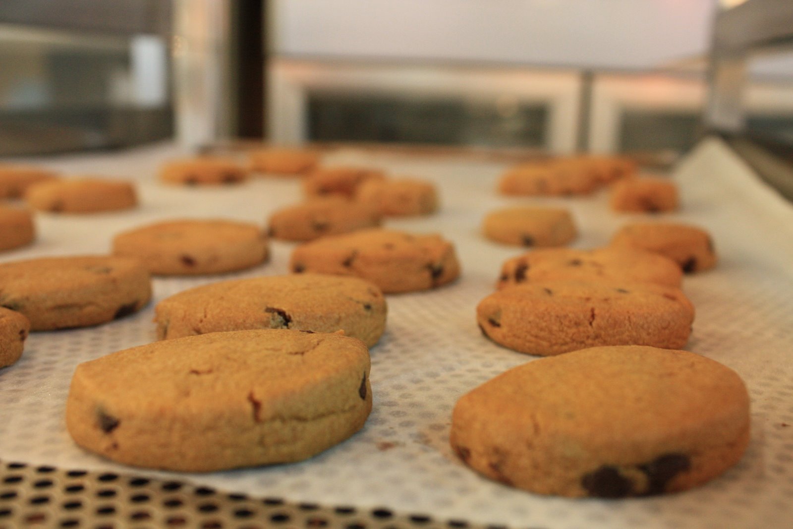 [cookie.JPG]