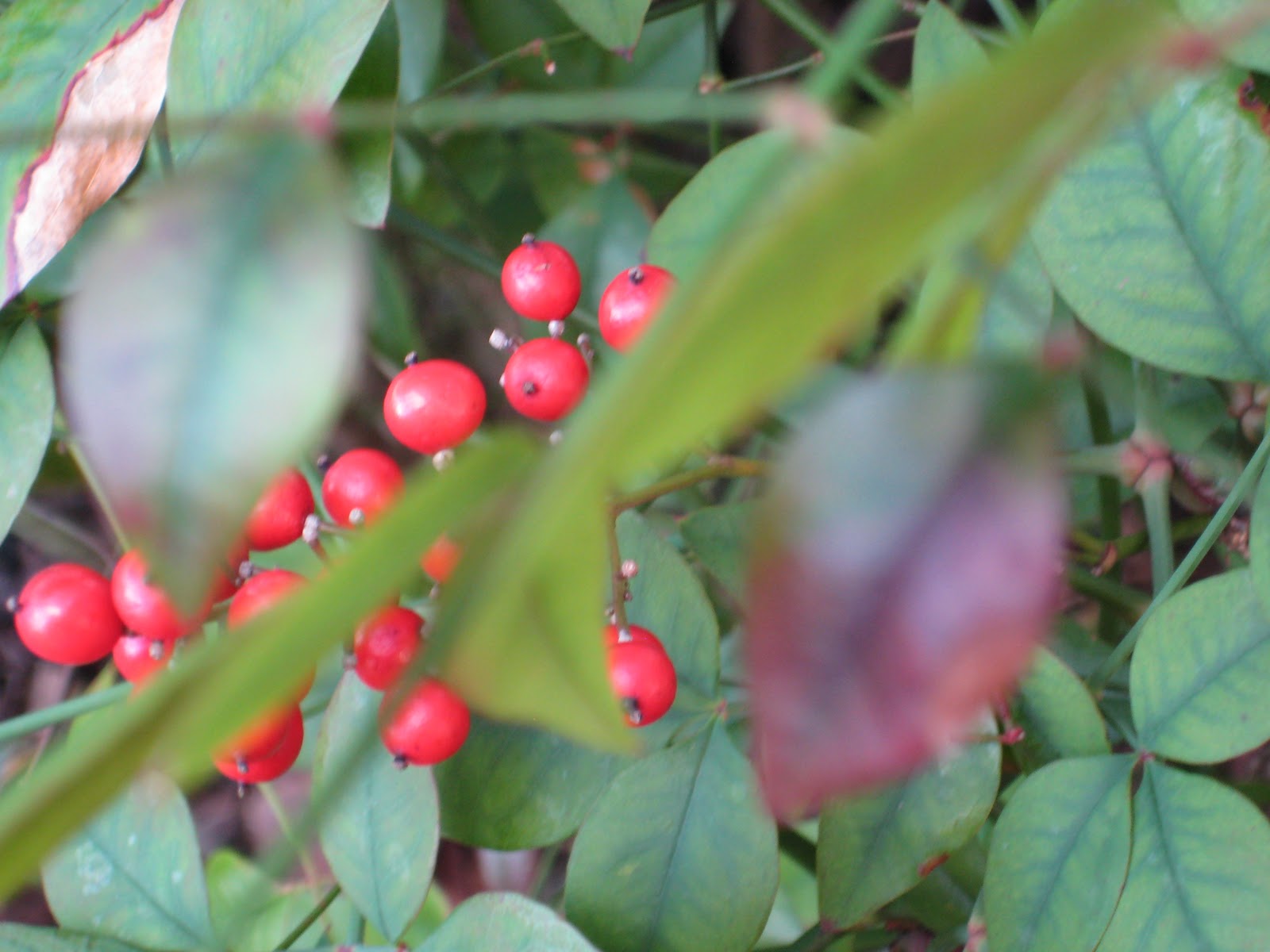 In the Blink of an Eye Winter in Florida