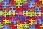 [autism+puzzle.jpg]