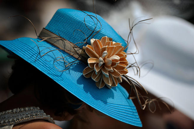 Crazy Life: Derby Days