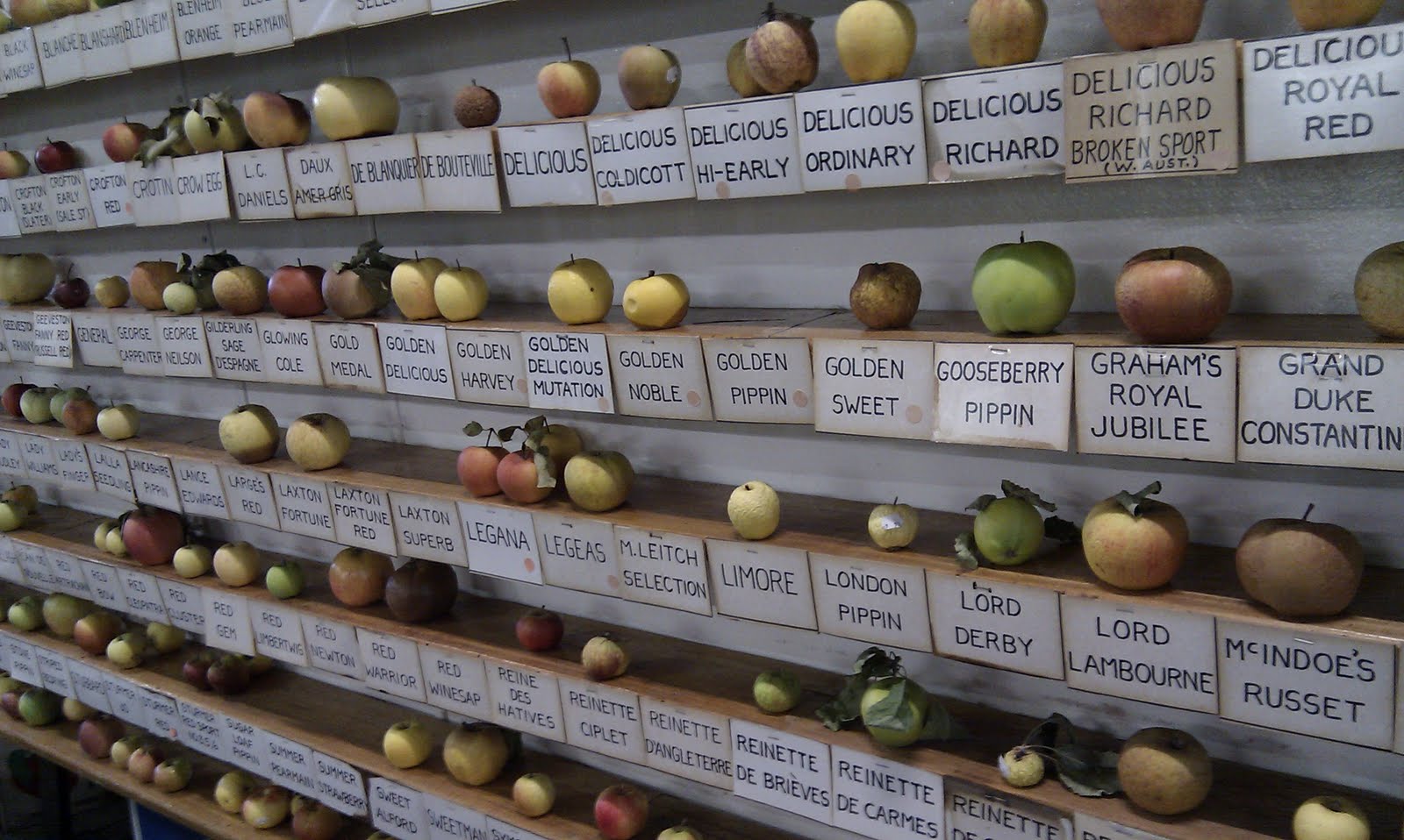 Huon Valley Apple & Heritage Museum Well Known Places