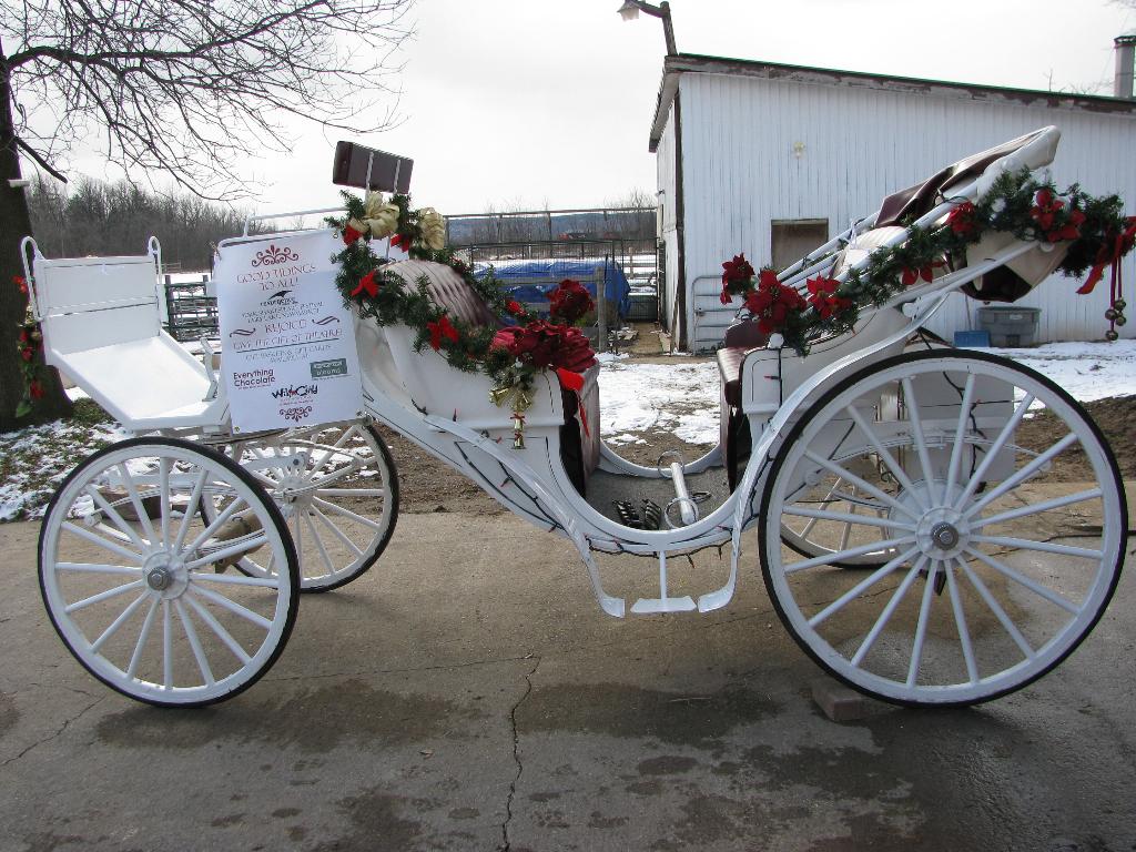Dream Catcher Stables Events Winter Wonderland in Chinguacousy Park