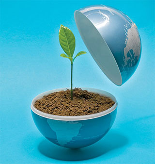 ecologikos Ecologia Cultural.