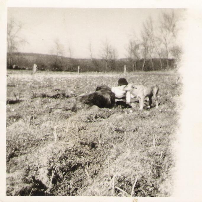 [farrusco+e+lassie.JPG]