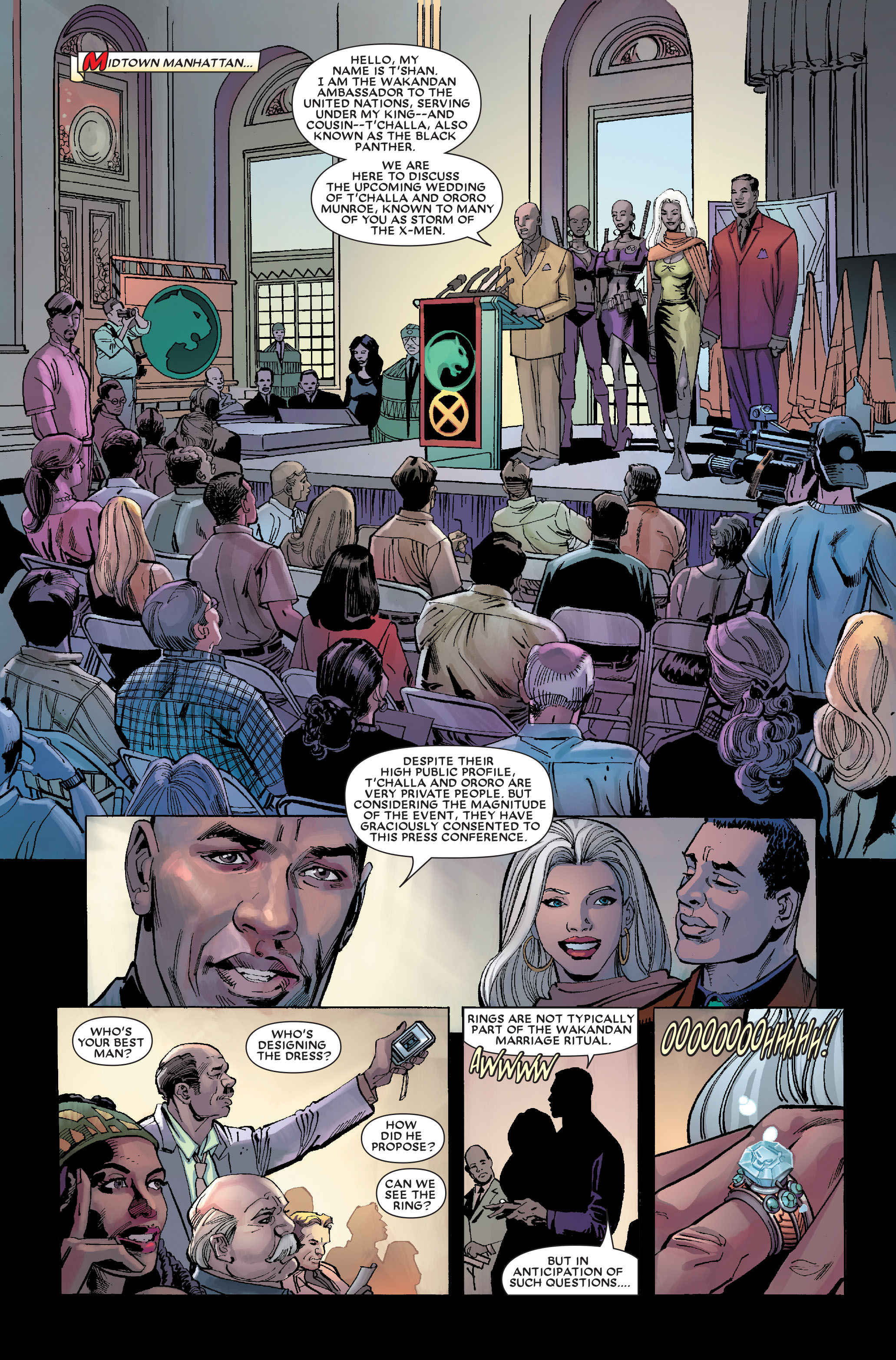 Read online Black Panther: The Bride comic -  Issue # TPB - 80