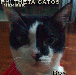 Member of the Phi Theta Gatos!