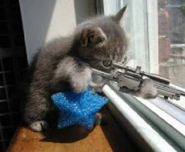 KATİL KEDİ İŞ BAŞINDA