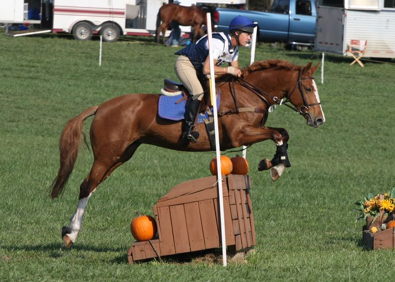 Cady O'Daly Farm Marvelous Weekend at Maryland Horse Trials