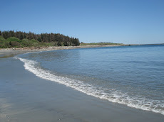 South Sandy Beach