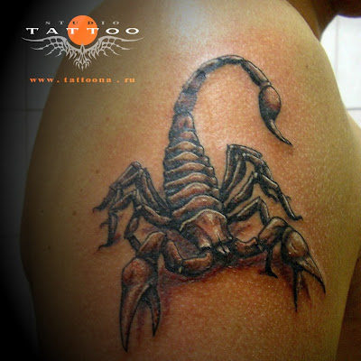 Labels: Scorpion tattoo. Posted by kopimanis
