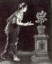 Importance of Tulsi Puja - Religious Significance of Tulsi Shaligram Puja