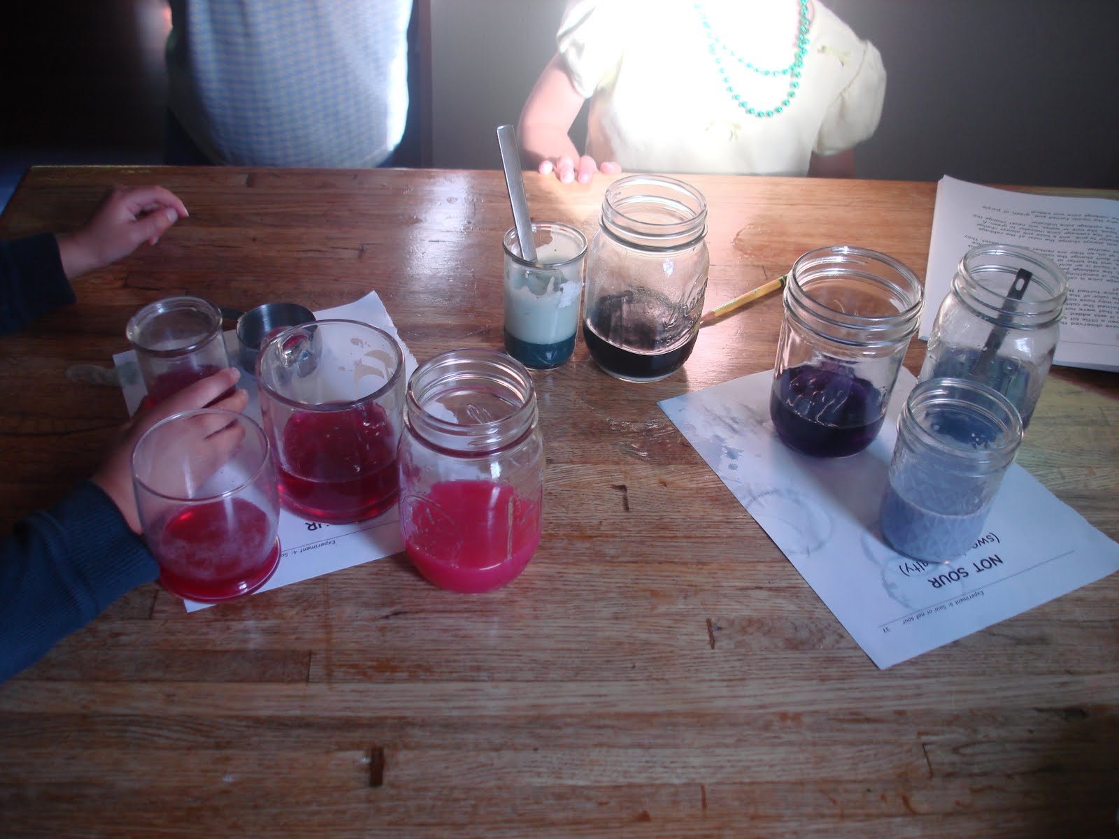 The Every Day Home School Science Fun AcidBase Indicator with Red