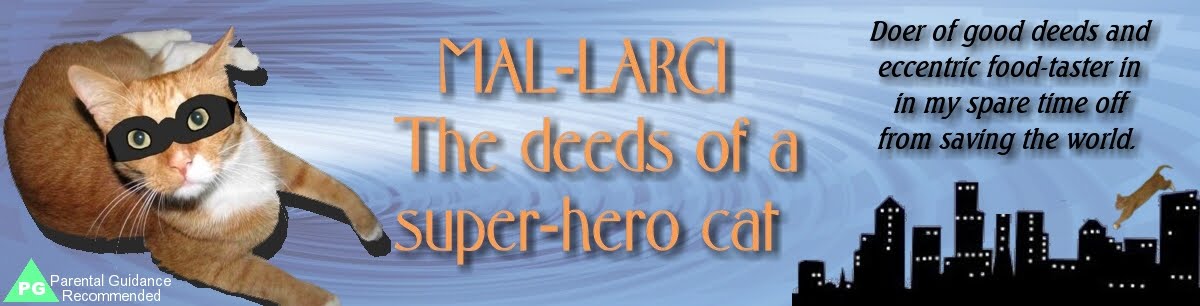 Mal-Larci: Superhero Cat!