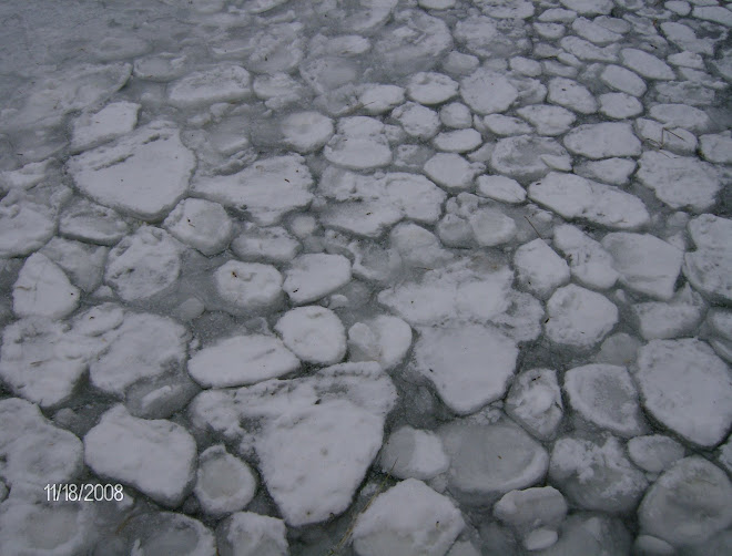 Ice forming on Leech Lake