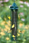 Squirrel Proof-Brome Squirrel Buster FINCH Feeder