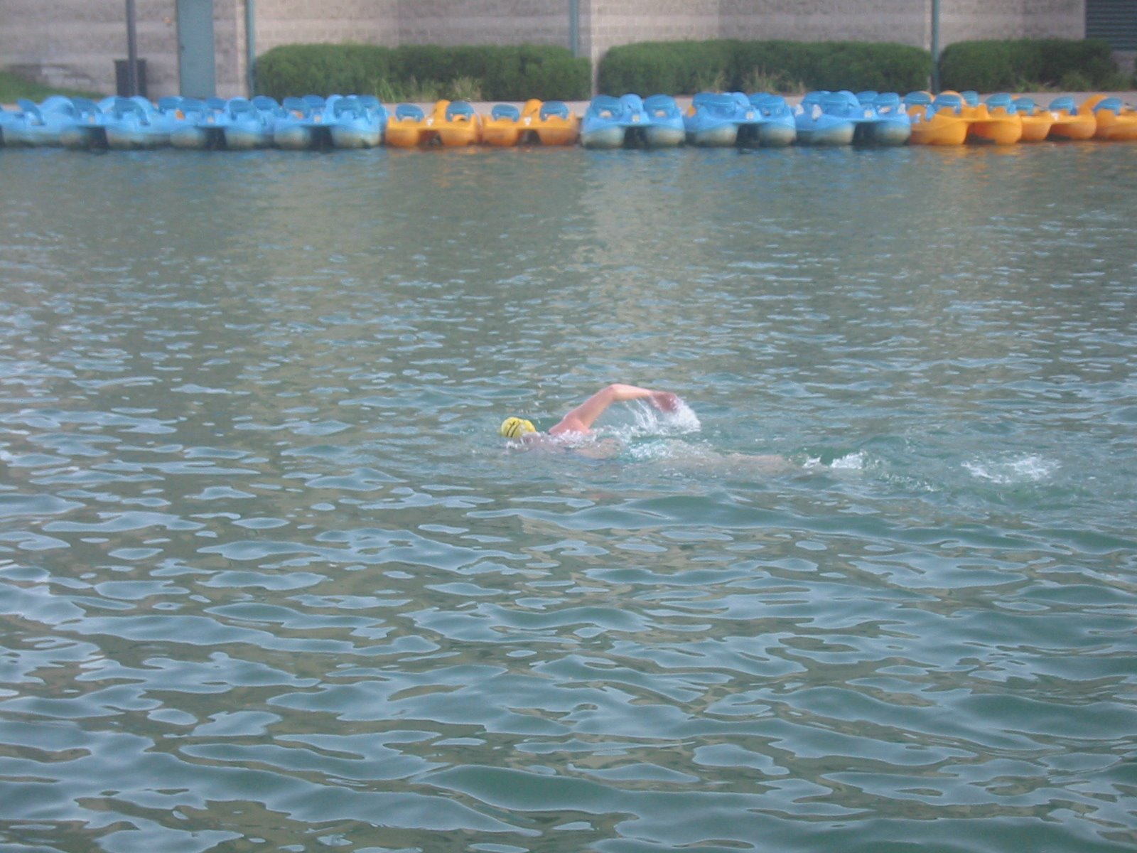 [swimming+8+(2).JPG]