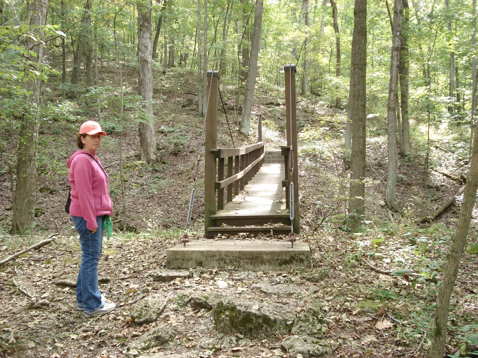 Hiking St. Louis Rockwood Reservation Trail Among the Trees