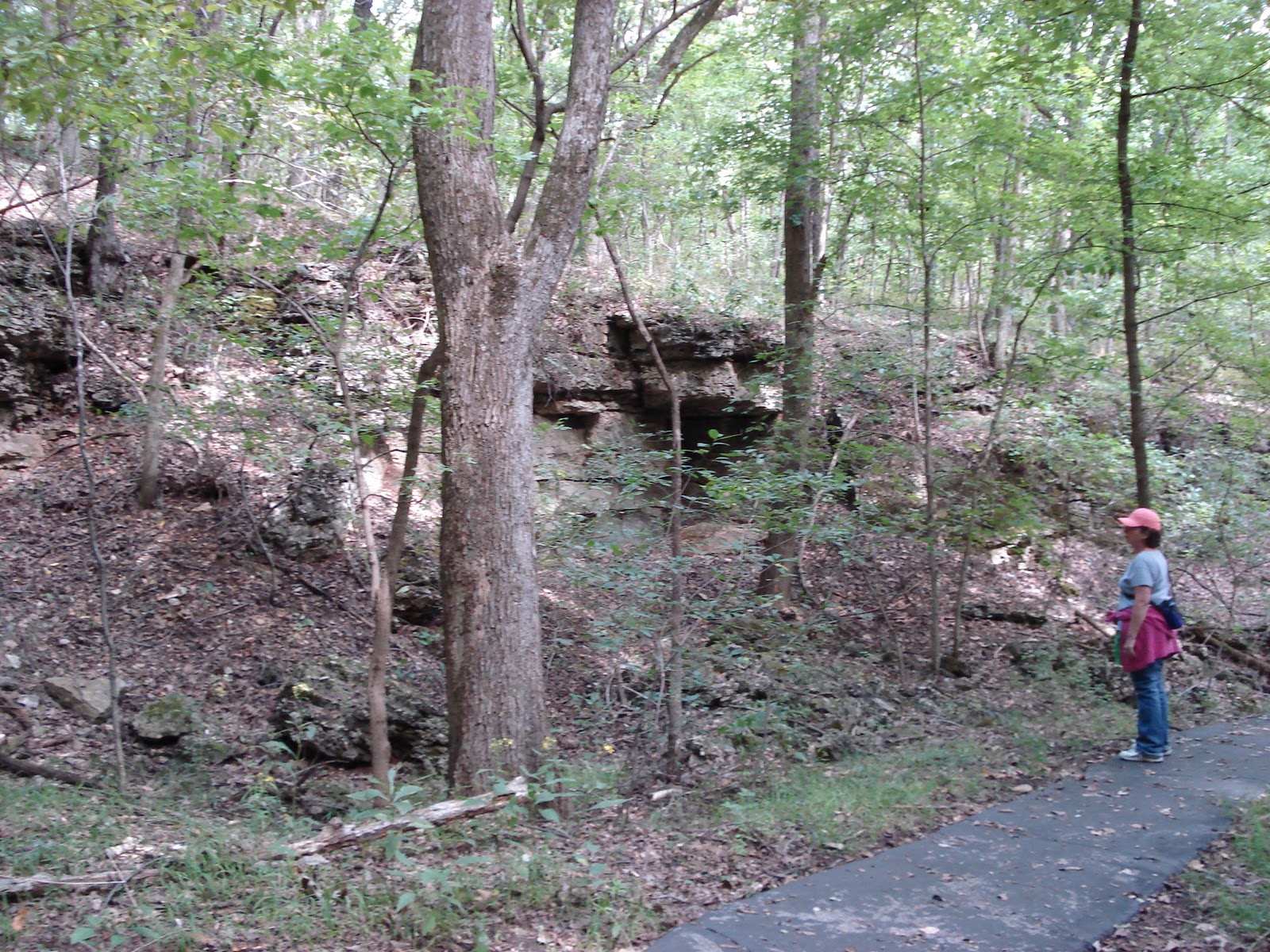Hiking St. Louis Rockwood Reservation Trail Among the Trees