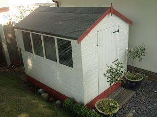 TROY'S BLOG: A VERY LOCAL SHED COMPETITION