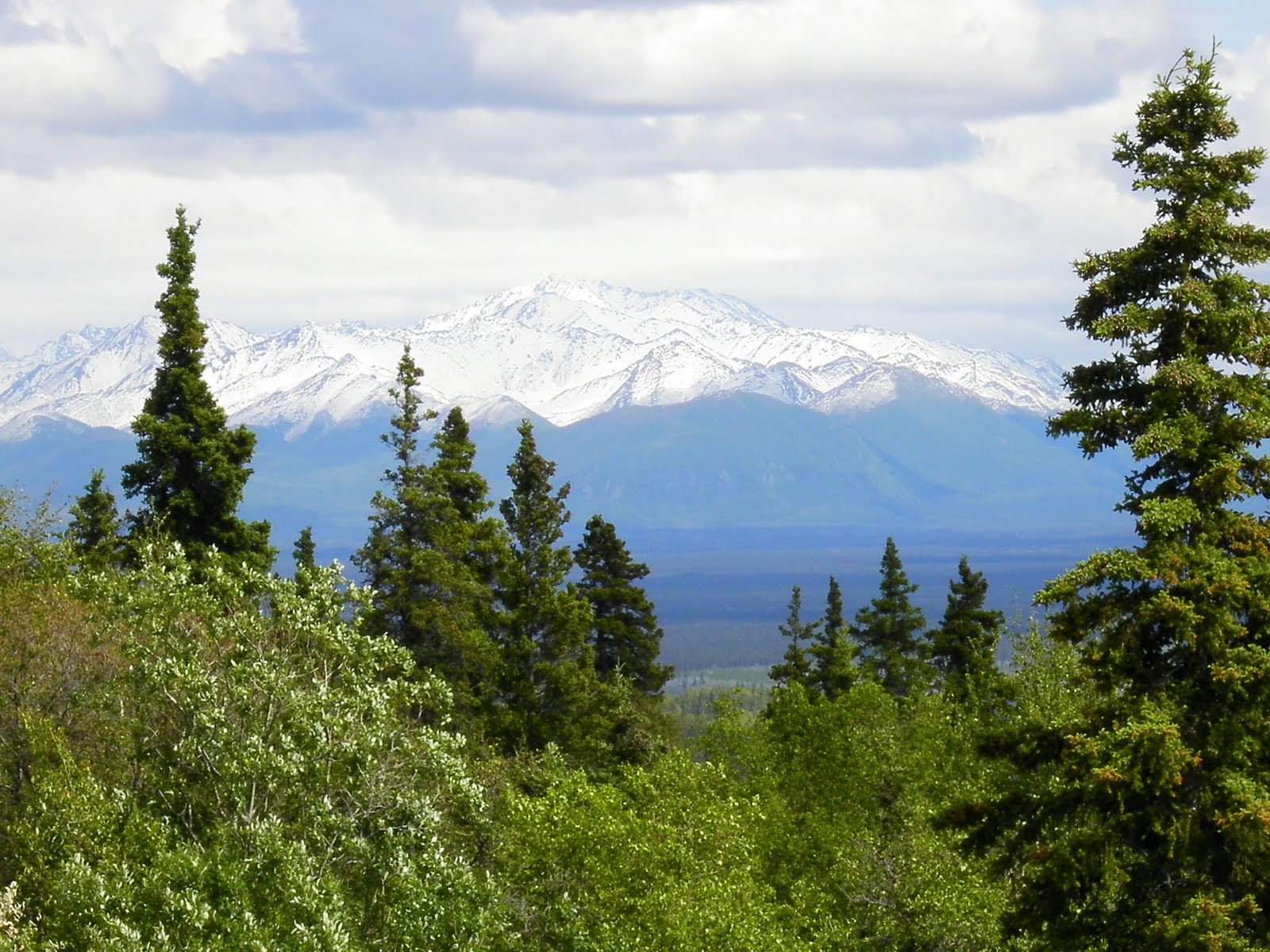 Tok to Alaska/Canada Border Ieri Oggi Domani