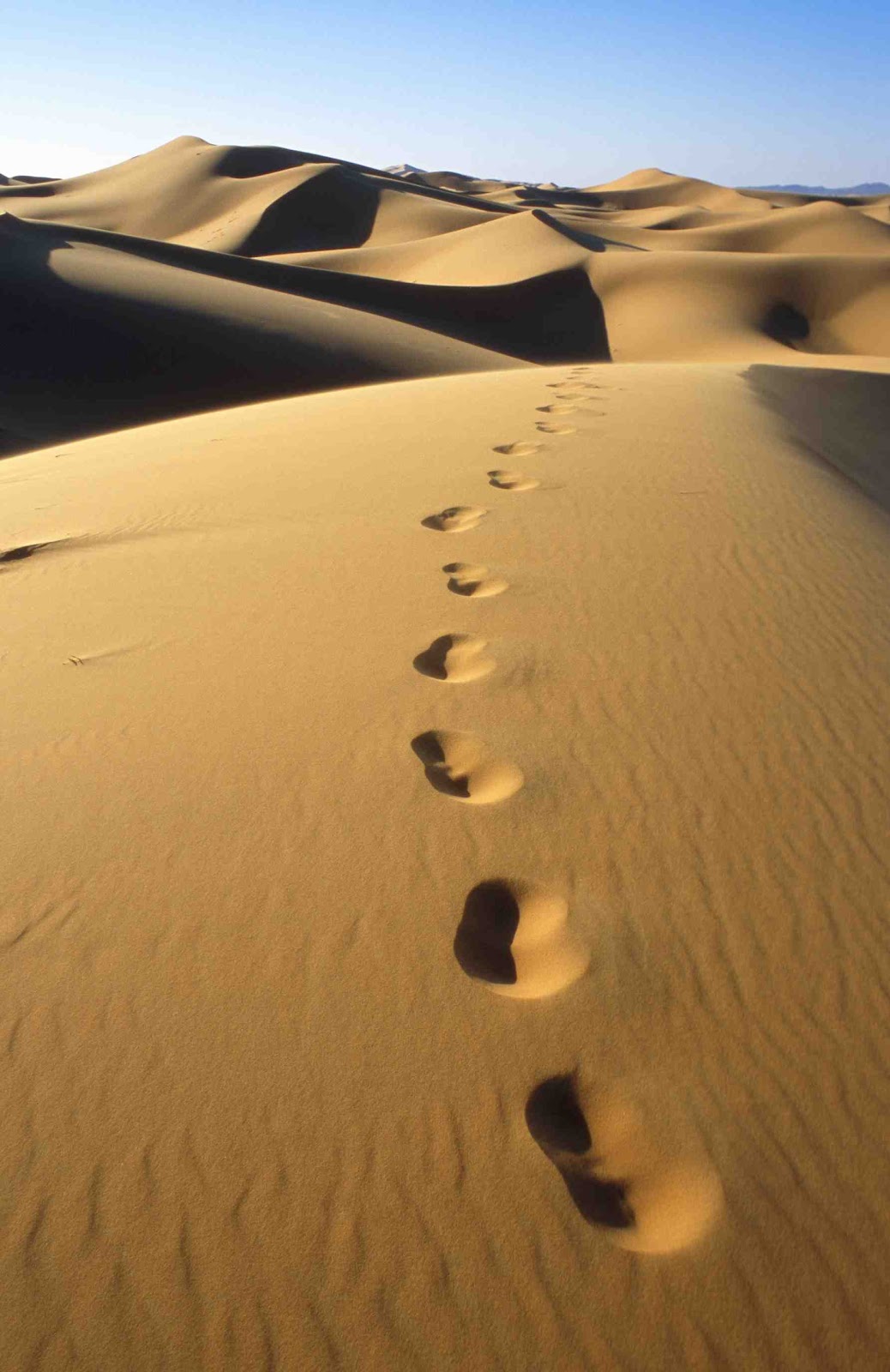 [sand.jpg]