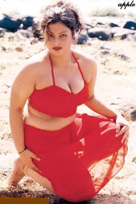 FSI Indian Sex Blog: Big BOOMs of Southt INdian HOtties