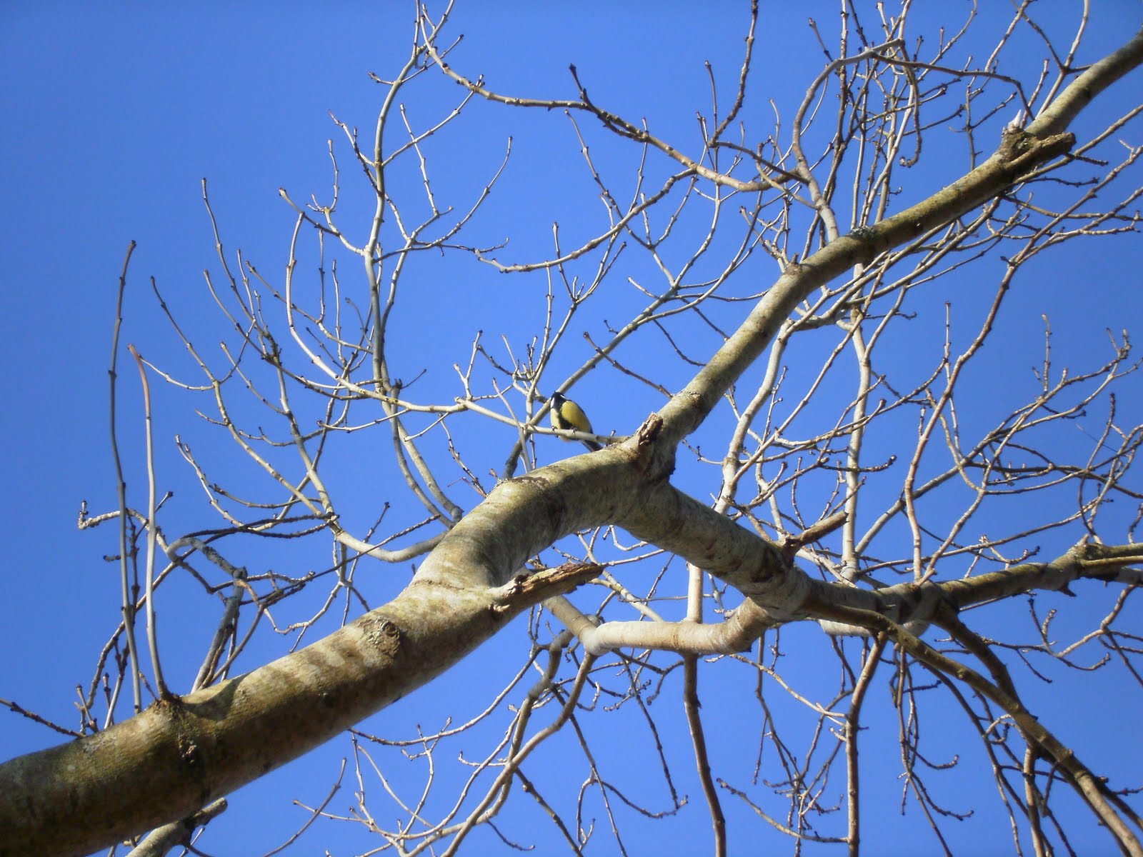 [P2200021.jpg]