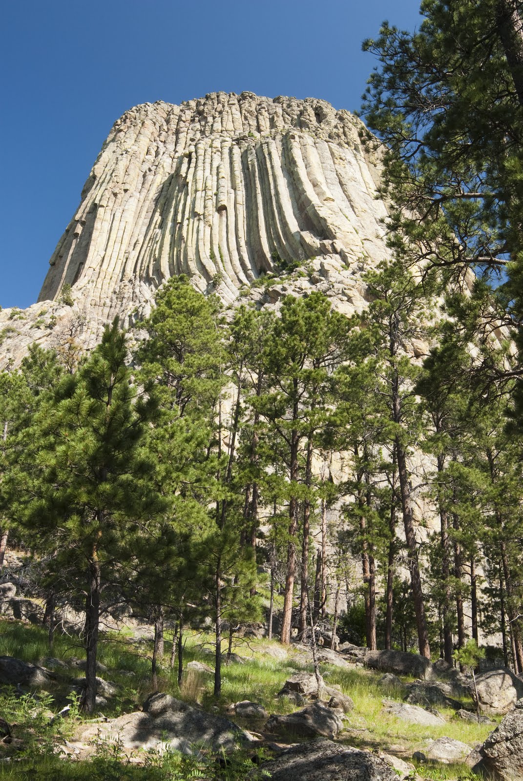 Pine Mountain Review Wyoming