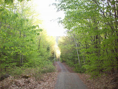 camp road