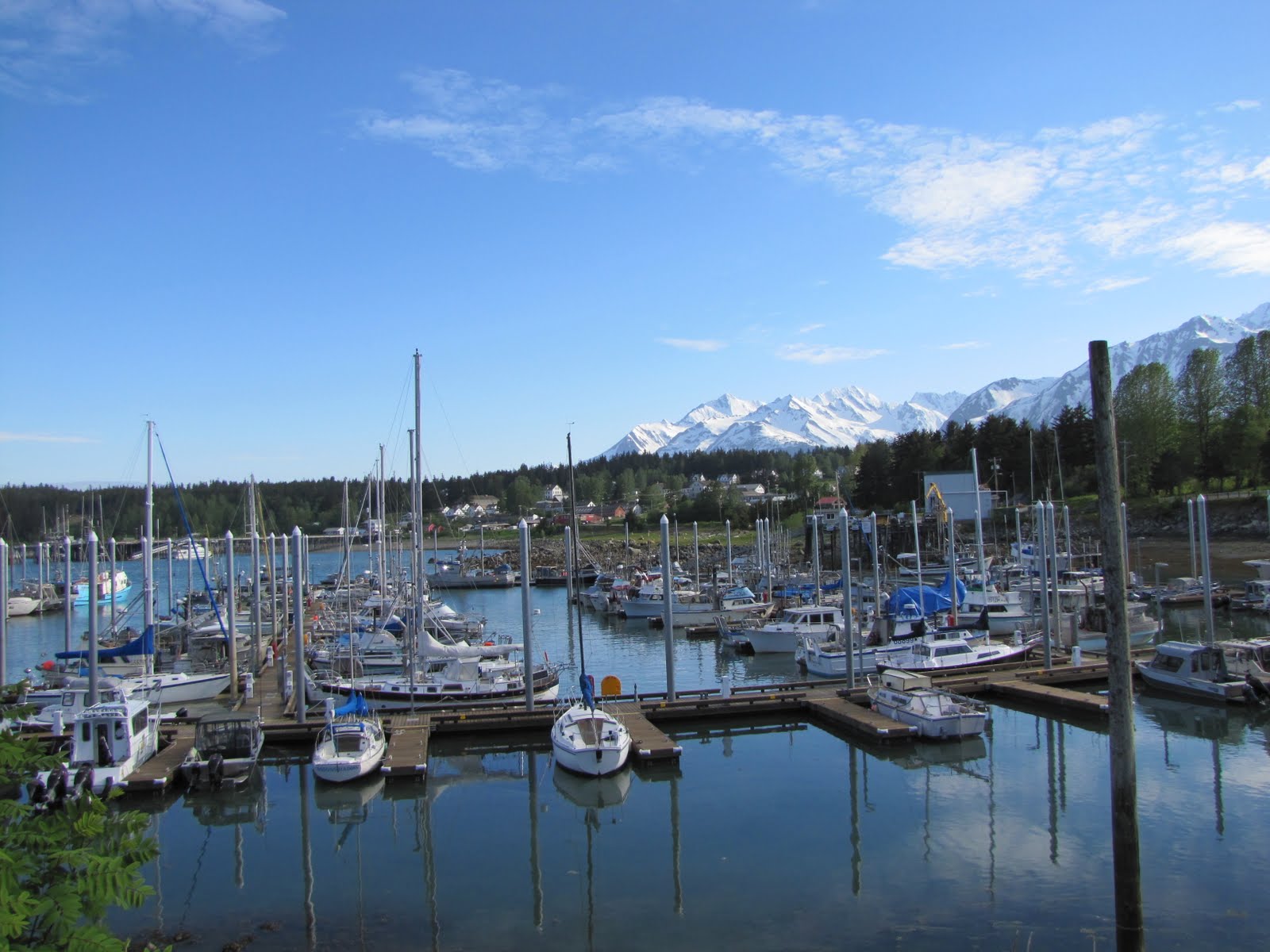 SUMMER CAMP HAINES ALASKA 2010 HAINES HARBOR