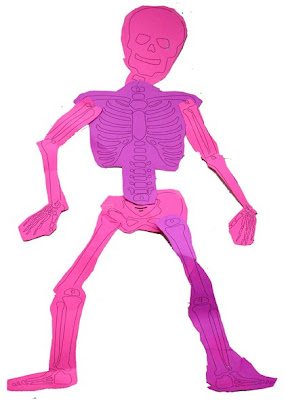 Busy Bodies Blog: Put Together Skeleton