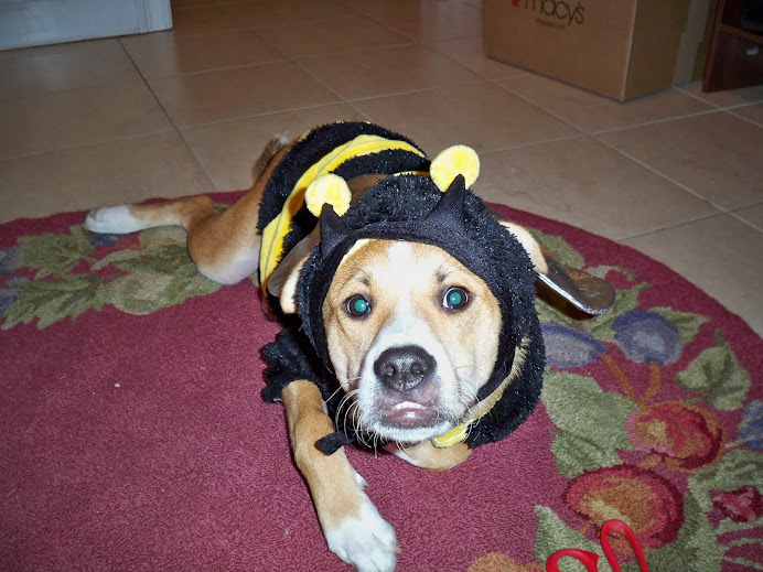 Happy Halloween!