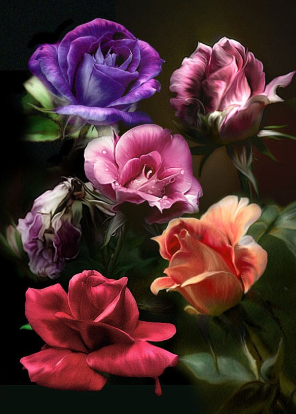 http://2.bp.blogspot.com/_P3gqcL2Brb0/TMuDbIIM2JI/AAAAAAAACY0/g2PjJGrmSOY/s1600/12.jpg