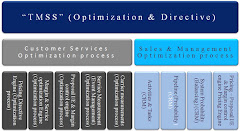 TMSS - System cover