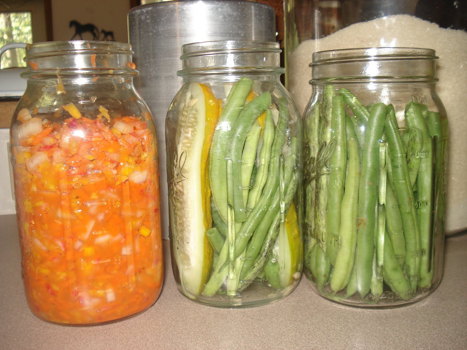 Purple Dancing Dahlias Spicy Fermented Dilly Beans & Pickles with