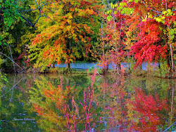 trees paintings fall oil watercolor painting november colorful 2009 tree