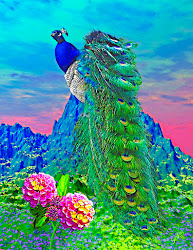 peacock painting birds bird paintings unusual artists