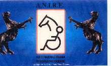 ANIRE