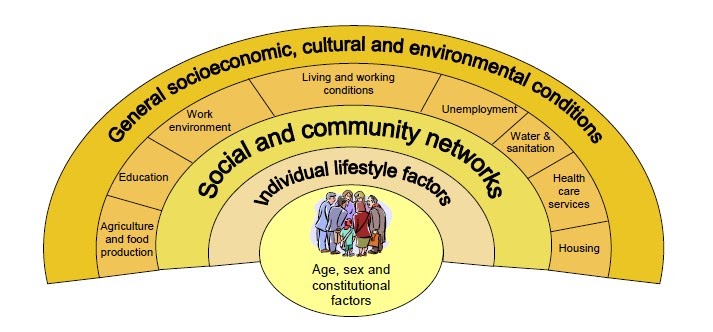 SEMIOBLOG HUMANITAS: Determinantes sociais da saúde: O modelo de Dahlgren e  Whitehead