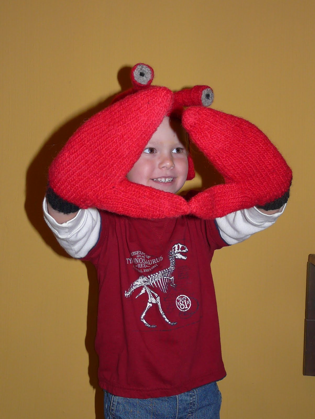 the knitbook Hermit Crab Costume