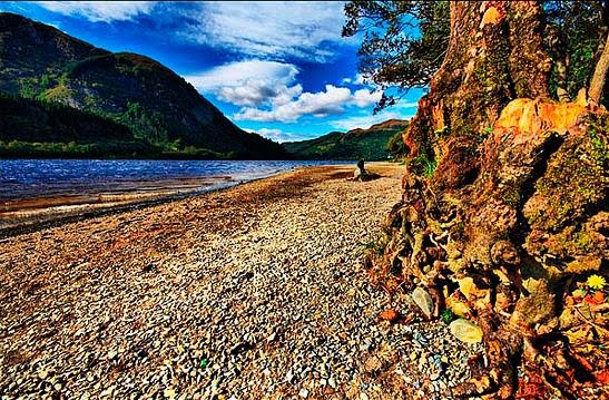 Mobile Wallpaper | Free Beautiful Wallpapers | Free Download Beautiful