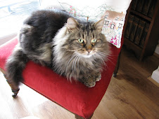 George who left us June 2011