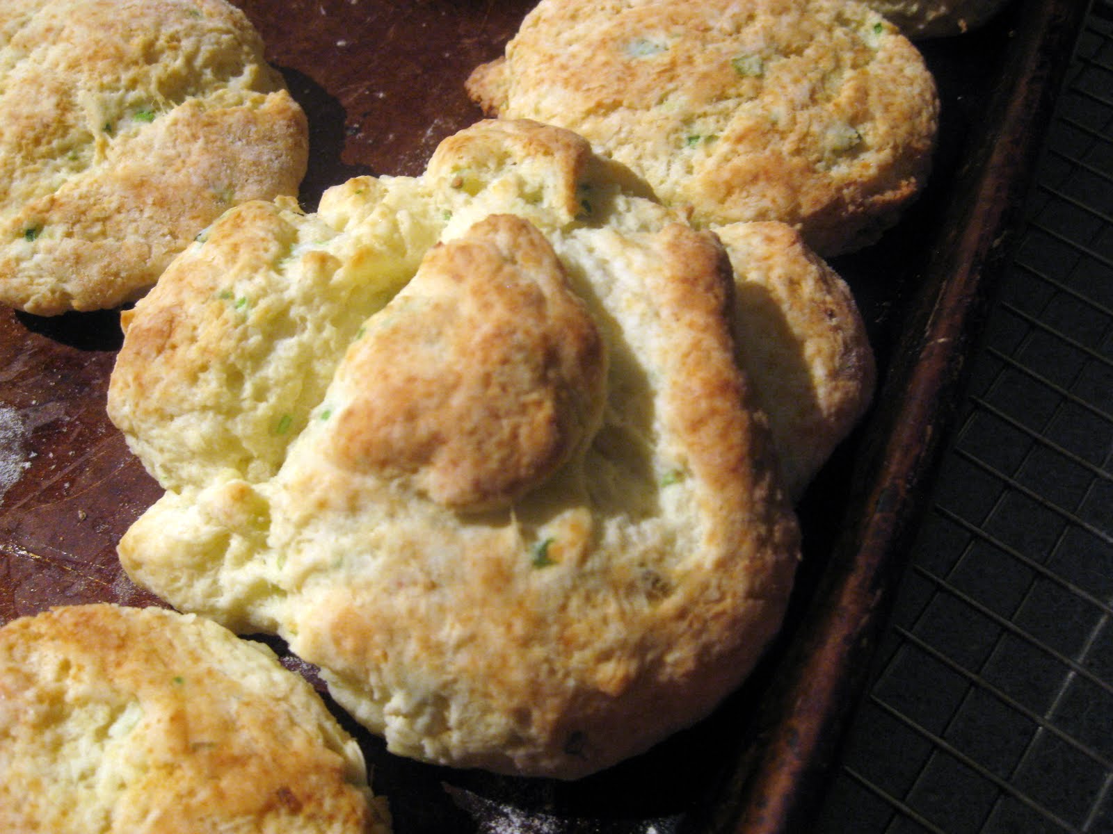 sour cream & green onion biscuits the baked life