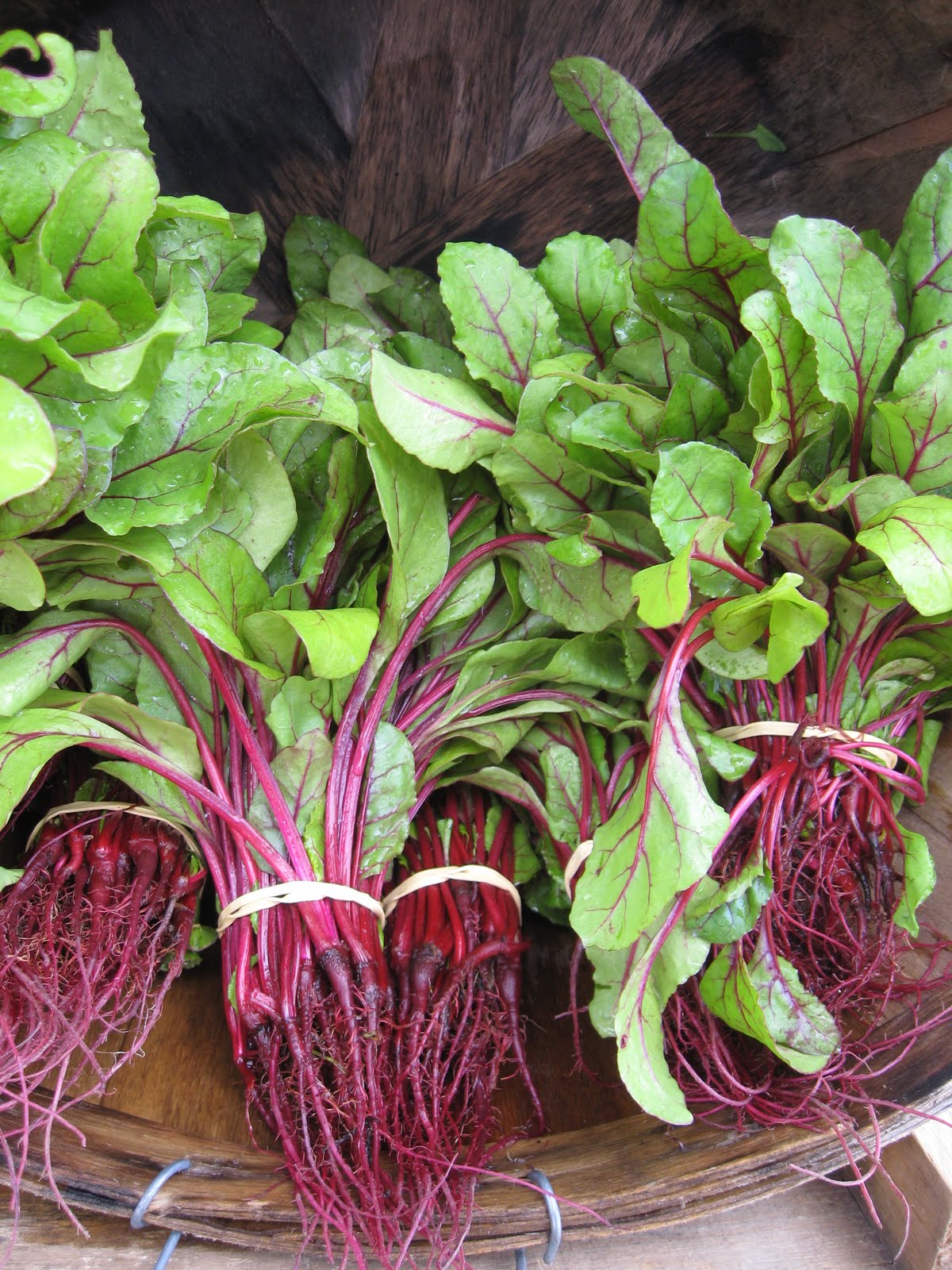 She s In The Kitchen Baby Beet Greens With Lardons And Red Wine Vinegar she-s-in-the-kitchen-baby-beet-greens-with-lardons-and-red-wine-vinegar